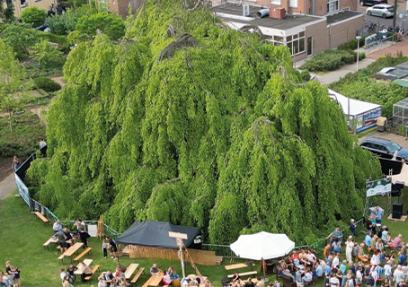Hof van Rakhorst