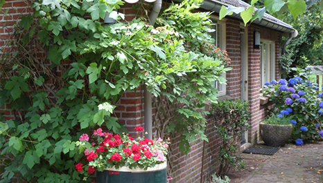 B&B Klein Bendijck